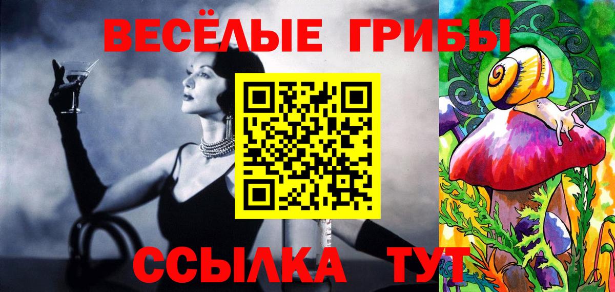 Галлюциногенные грибы ЛСД Курчалой